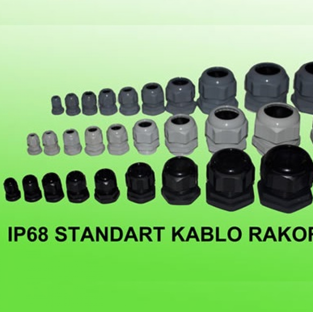 PG DİŞ STANDART KABLO RAKORLARI