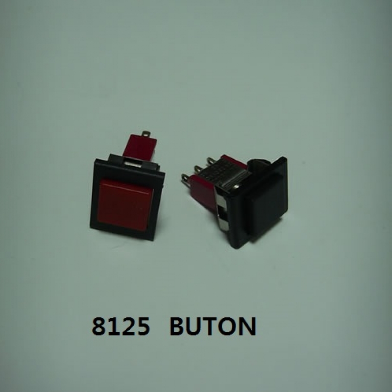 8125 BUTON KARE